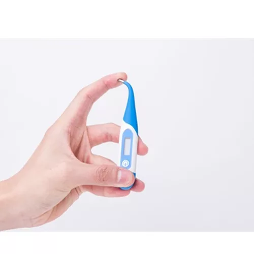 Lázmérő digitális flexibilis fejjel Vivamax