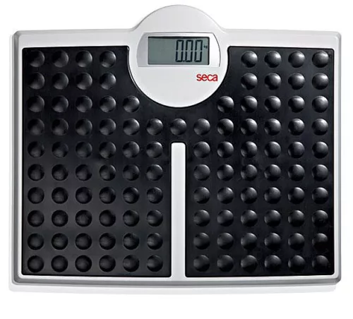 Mérleg digitális nagyteherbirású100g/200 kg SECA 813