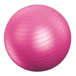 Gimnasztikai labda (Vivamax)  55 cm