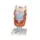 Gége, eredeti méret 2szerese, 7 részes