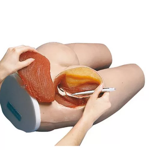 Gluteális intramuszkuláris injekciózási modell
