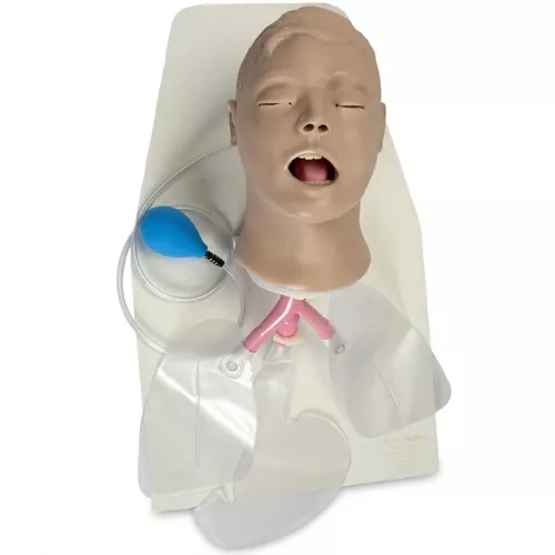 Airway Larry felnőtt intubációs oktató fej állvánnyal