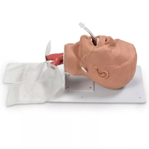 Simulaids  ECONOMY felnőtt intubációs oktató modell