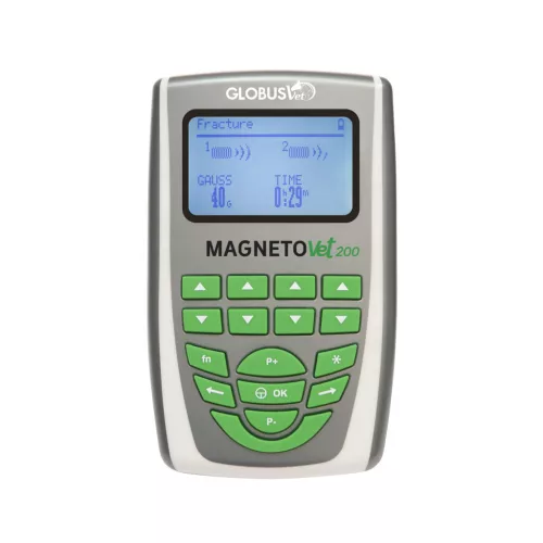 MagnetoVet 200