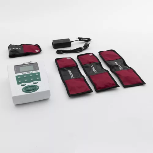 MagnetoVet 4000