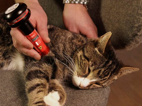 Energy-Laser L800 Pro lágylézer 36 hónap garancia