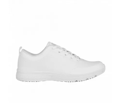 scholl-energy-plus