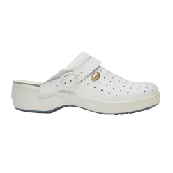 Scholl-Bonus