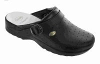 Scholl-Bonus