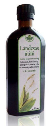 Lándzsás útifű szirup 250ml