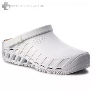 Scholl-clog-evo