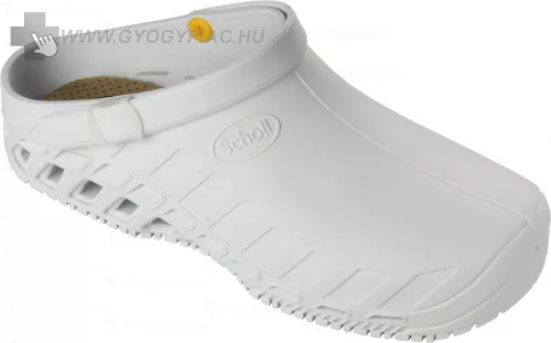 Scholl-clog-evo