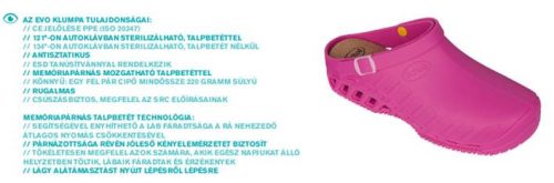 Scholl-clog-evo