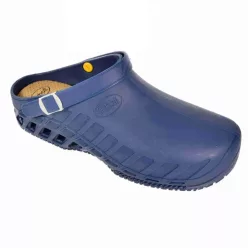 Scholl-clog-evo