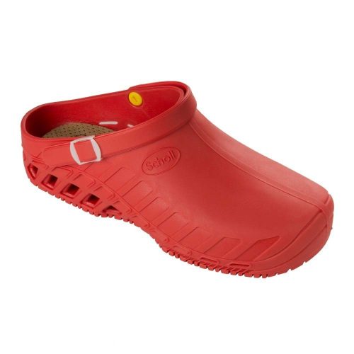 Scholl-clog-evo