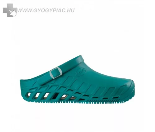 Scholl-clog-evo