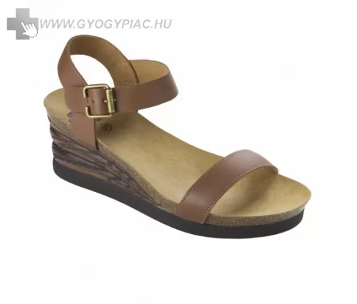 Scholl-ninfea