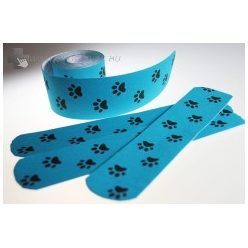 Kinezio-tape-tappancsos