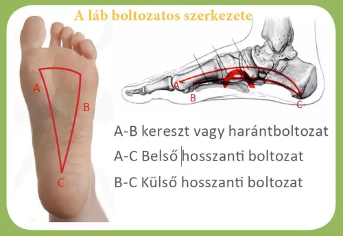 QMED szilikon béléses Hallux Valgus védő