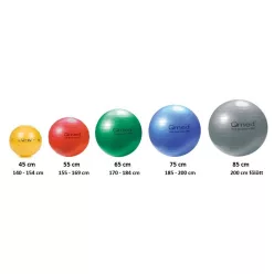QMED-Fizioball