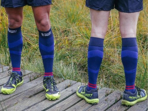 Scudotex-terdharisnya