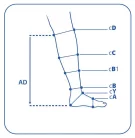 Venoflex Micro női zokni KARAMELL