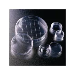 Falcon tenyésztőedény 3001 / 734-0005/ 2*500 db