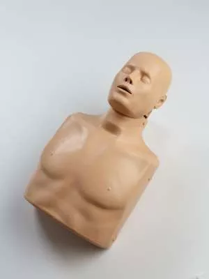 CPR újraélesztési oktató bábu, felsőtest / MAN-B1007