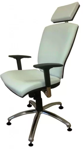 Szék fül-orr-gégészeti Gemini Syncro Boss fix /5029 szürke / 5029 szürke, fix tappancs
