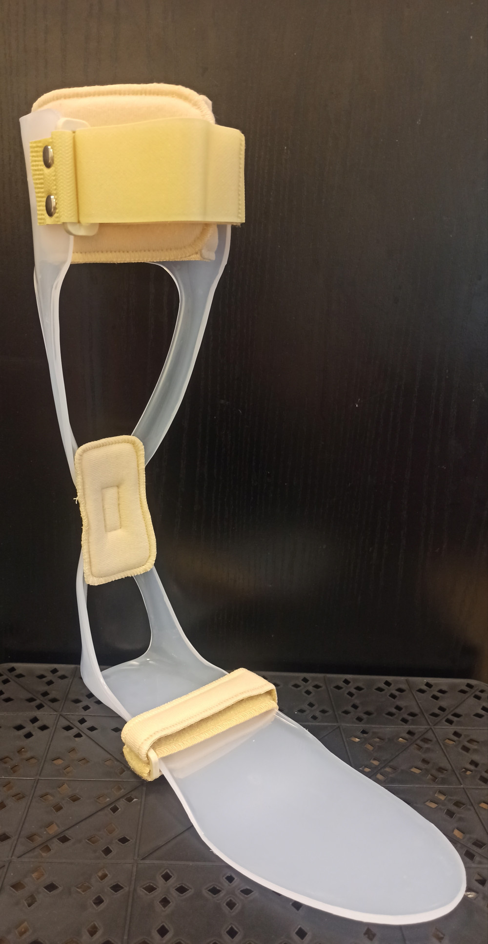 Image of GM PERONEUS EMELÖ